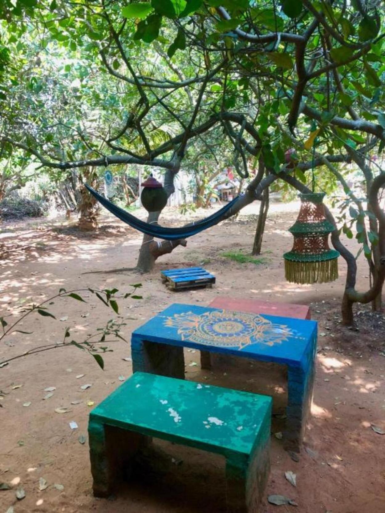 فندق Travellers Crib أورفيلا المظهر الخارجي الصورة
